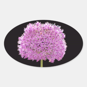 Adesivo Oval Illium Summer Primavera Flor - Design irlandês