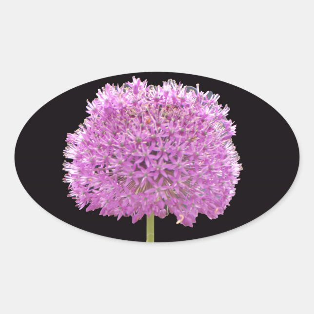 Adesivo Oval Illium Summer Primavera Flor - Design irlandês (Frente)