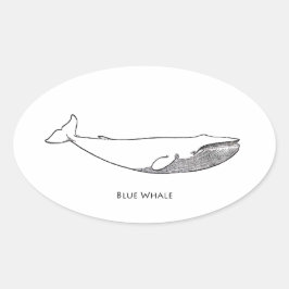 Adesivo Oval Ilustração de Baleia Azul (arte de linhagem)