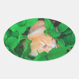 Adesivo Oval Impressão de gato de estimação bonito