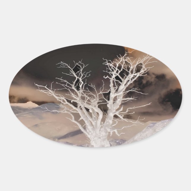 ADESIVO OVAL INVERNO DE MONTANHA (Frente)