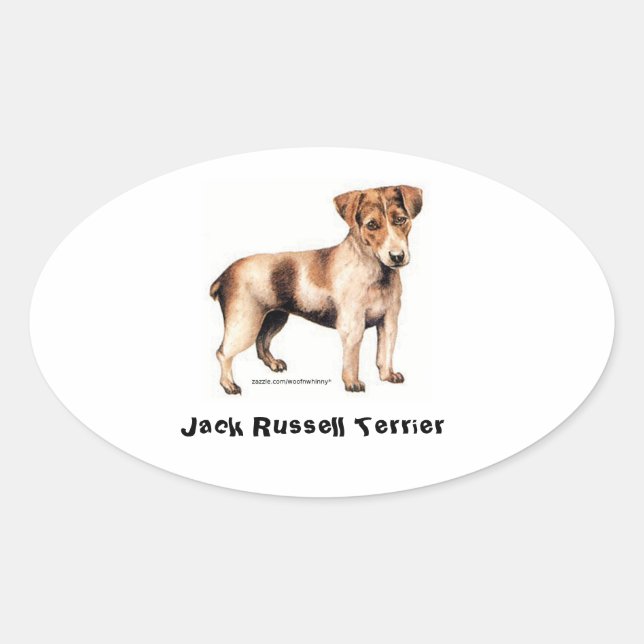 Adesivo Oval Jack Russell Terrier (Frente)