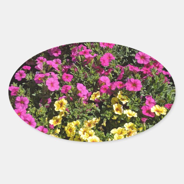 Adesivo Oval Jardim da Flor (Frente)