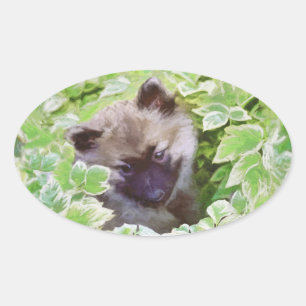 Adesivo Oval Keeshond Puppy na Pintura Original