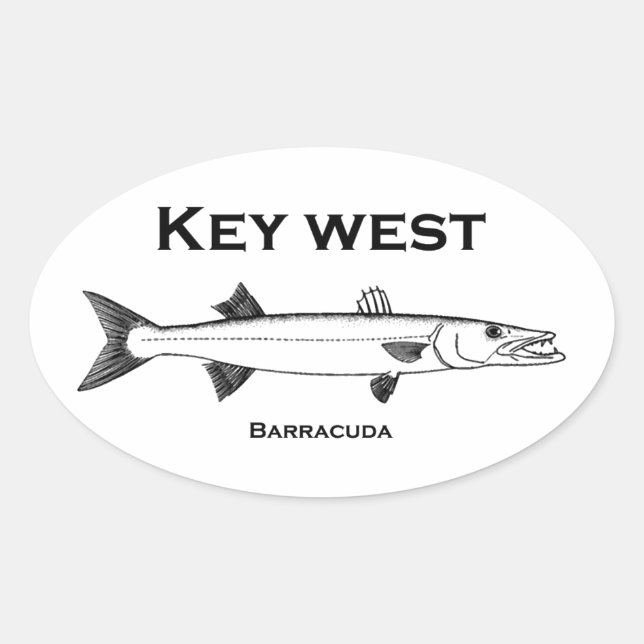 Adesivo Oval Key West Barracuda (Frente)
