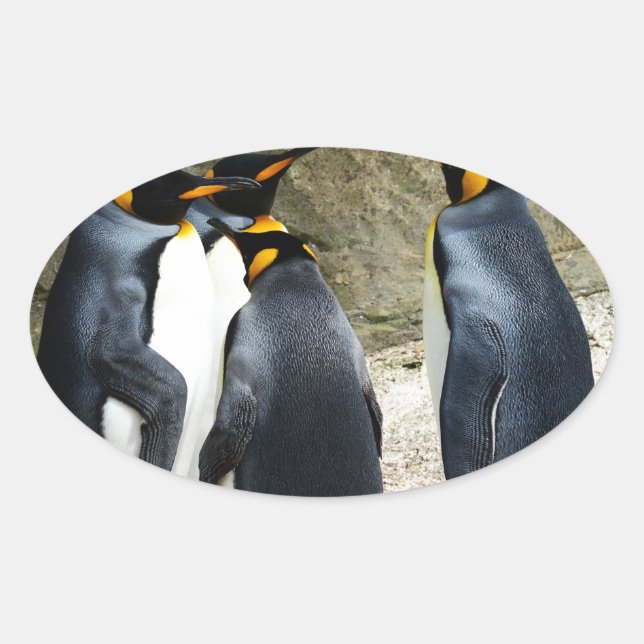 Adesivo Oval King Penguin (Frente)