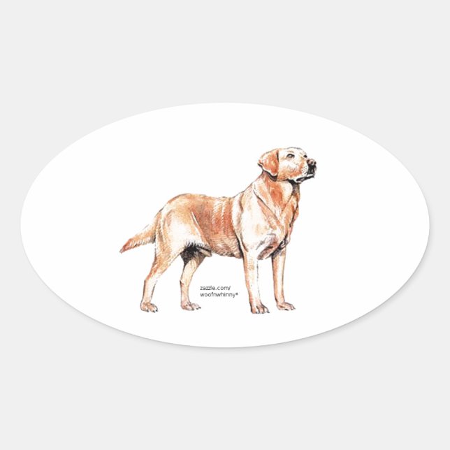 Adesivo Oval Labrador Retriever (Frente)