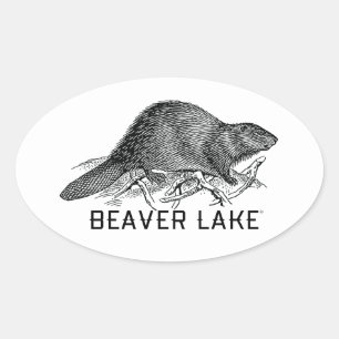 Adesivo Oval Lago Beaver