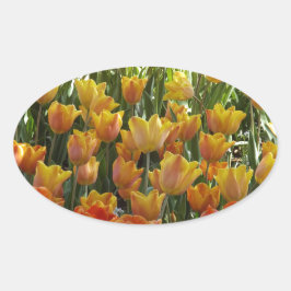Adesivo Oval Laranja-&-Amarelo-Tulips.jpg