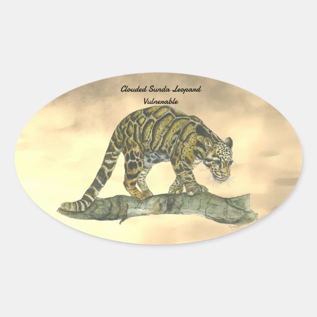 Adesivo Oval Leopardo nublado, pintado à mão (Frente)