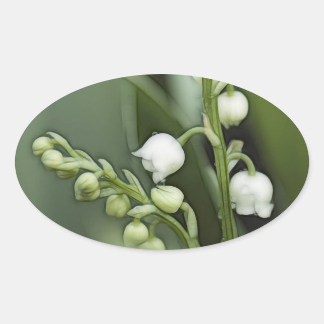 Adesivo Oval Lily das Flores do Vale (Frente)