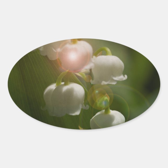 Adesivo Oval Lily Of the Valley Floral (Frente)