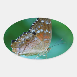Adesivo Oval Linda Borboleta Danaus Plexippus na Folha.