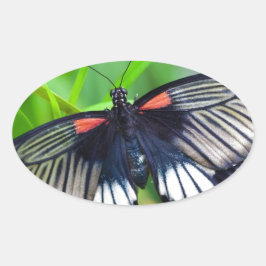Adesivo Oval Linda borboleta negra, branca e vermelha