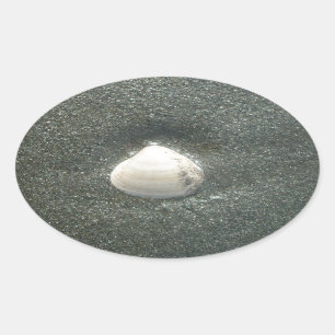 Adesivo Oval Linda concha na areia: Uma Souvenir Salgada