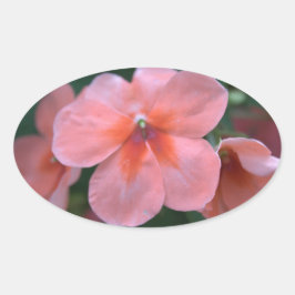 Adesivo Oval Lindas flores de jardim cor-de-rosa. Fotografia or