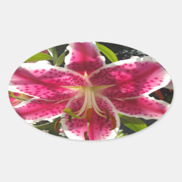 Adesivo Oval Lírios cor-de-rosa flores tropicais cor-de-rosa fl