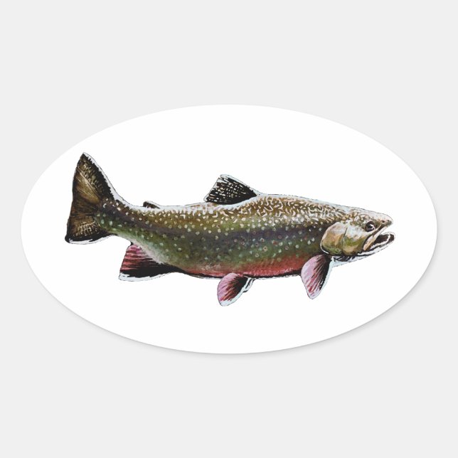 Adesivo Oval Logotipo Brook Trout (Nadação) (Frente)