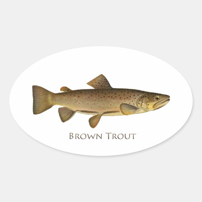 Adesivo Oval Logotipo Brown Trout (Frente)