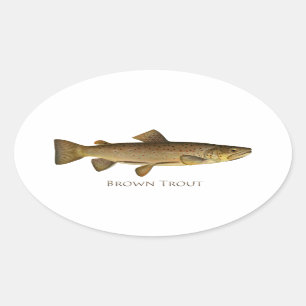 Adesivo Oval Logotipo Brown Trout