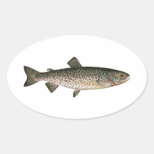 Adesivo Oval Lohanton Cutthroat Trout