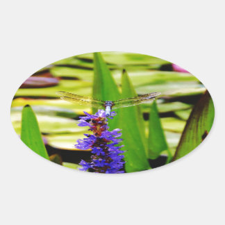 Adesivo Oval Lótus de Dragfly e flor púrpura