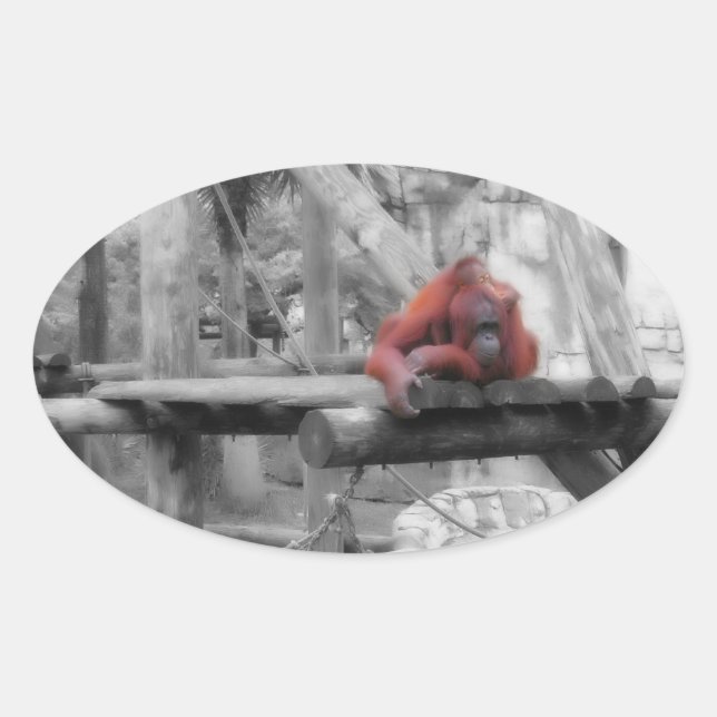 Adesivo Oval Mãe e Bebê Orangutan (Frente)