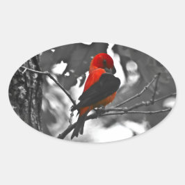 Adesivo Oval Male Scarlet Tanager