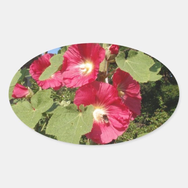 Adesivo Oval Malvarisas Rosa (Frente)