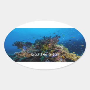 Adesivo Oval Mar coral recife de coral tropical dos peixes do