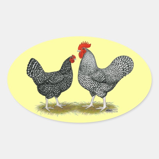 Adesivo Oval Marans: Cuckoo Pair (Frente)