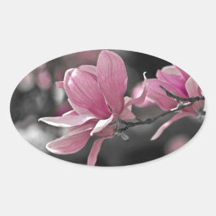 Adesivo Oval Molho Rosa Japonês Magnolia