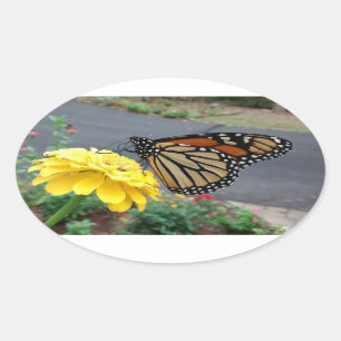 Adesivo Oval Monarca na Zinnia Amarela