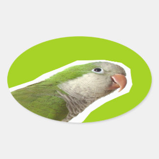 Adesivo Oval Monk Parakeet