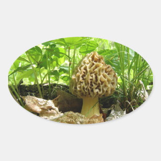 Adesivo Oval Morel Mushroom - Vinheta "Ocultando"