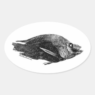 Adesivo Oval Morto do Mar de Salton Tilapia Oval Sticker