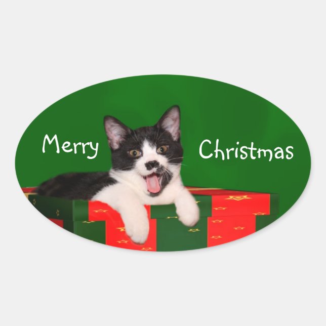 Adesivo Oval Natal do gato Tuxedo (Frente)