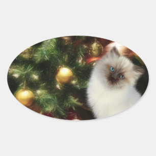 Adesivo Oval Natal Himalaia do gatinho