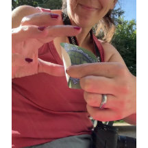 Nature Amadurece Tartarugas