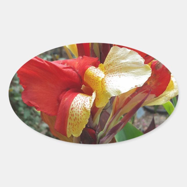 Adesivo Oval Natureza Red Flower Floral Fotografia (Frente)
