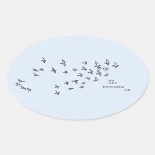 Adesivo Oval "Nenhuma rede me ensina" + pássaros (preto em azul