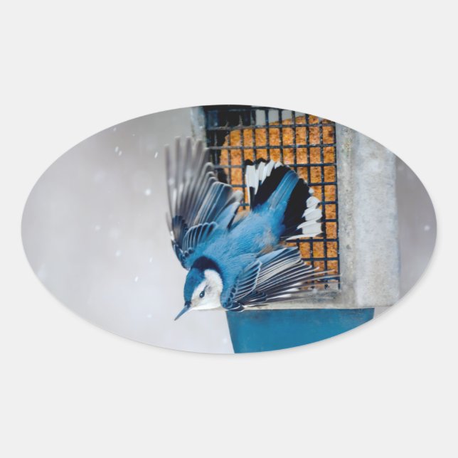 Adesivo Oval Nuthatch Branca em Neve - Foto original (Frente)