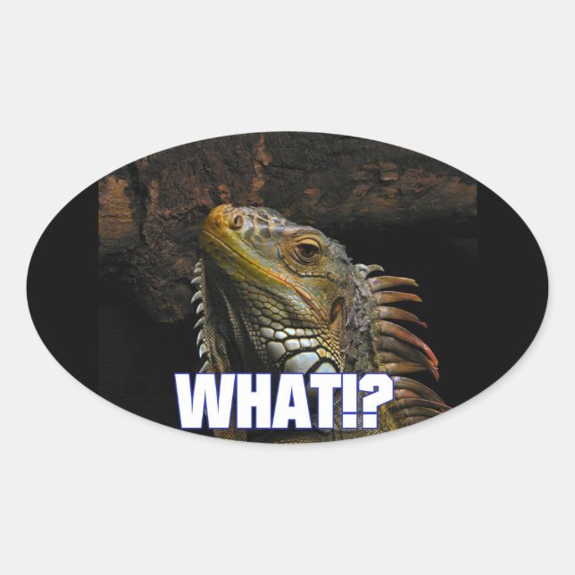 Adesivo Oval O quê? Iguana (Frente)
