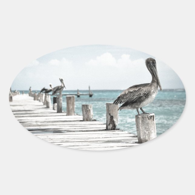 Adesivo Oval Oceano Costeiro Pelicano (Frente)