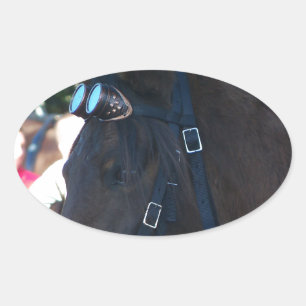 Adesivo Oval Óculos de visto do Cavalo Árabe Castanho Escuro