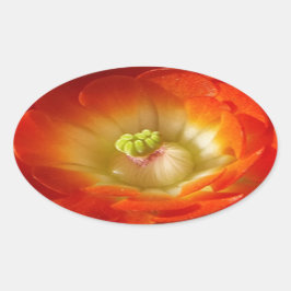 Adesivo Oval Orange-Cactus-flower