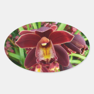 Adesivo Oval Orquídeas Maroon I Belo Floral Vermelho