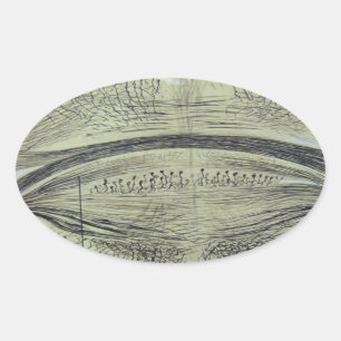 Adesivo Oval Os neurônios espinais de Cajal - 5