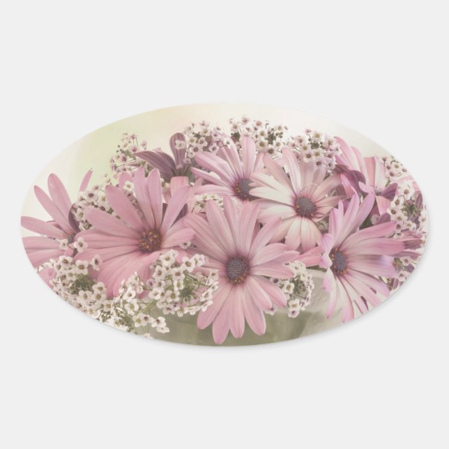 Adesivo Oval Osteosperno Rosa (Frente)