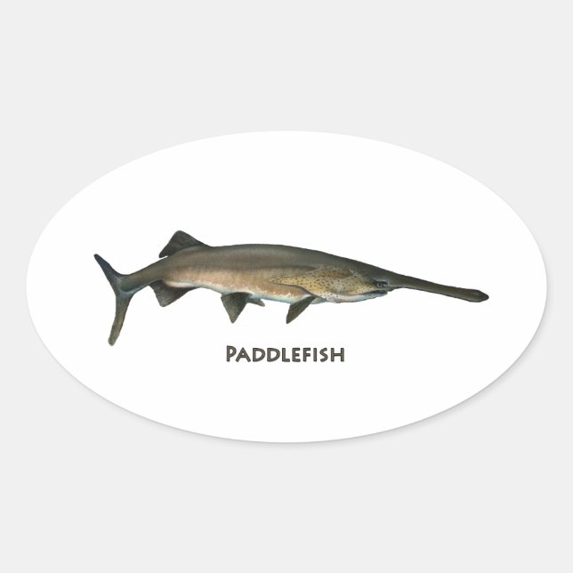 Adesivo Oval Paddlefish (Frente)